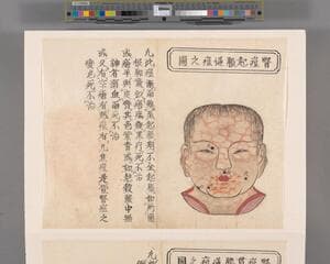 Go to image 26.