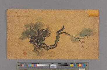 Go to image 1.