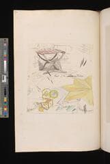 Go to image 196.