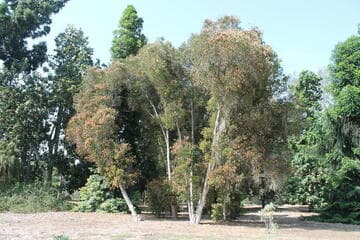 Go to image 1.