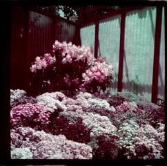 Go to image 4.