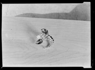 Go to image 54.