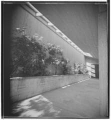 Go to image 5.