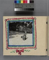 Go to image 8.