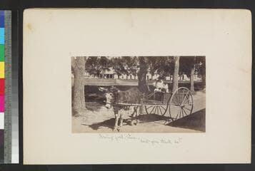 Go to image 119.