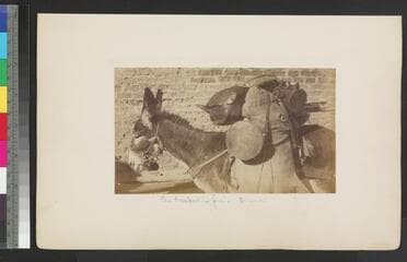 Go to image 106.
