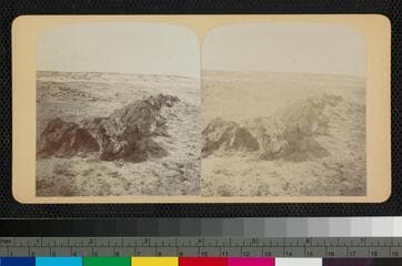 Go to image 1.