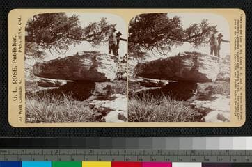 Go to image 1.