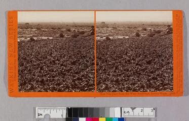 Go to image 1.