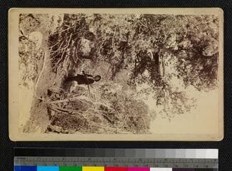 Go to image 1.