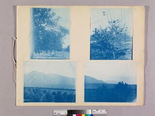Go to image 12.