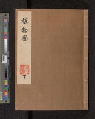 Go to image 1.