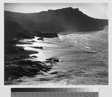 Point Lobos