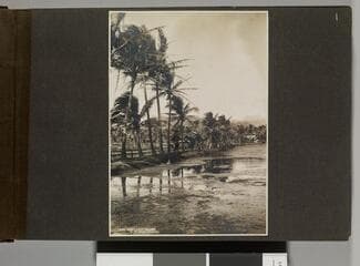 Go to image 3.