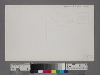 Go to image 2.