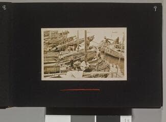 Go to image 11.