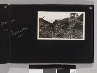 Go to image 93.