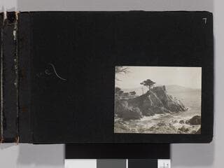 Go to image 9.