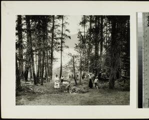 Go to image 15.