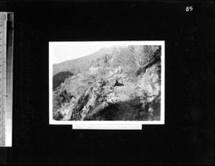 Go to image 59.