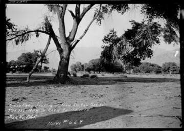 Borel : Cyrus Ranch