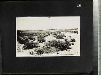 Go to image 27.