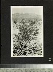 Go to image 25.