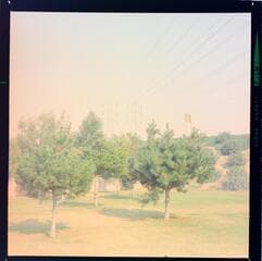 Go to image 16.