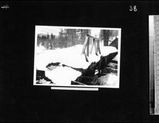 Go to image 41.