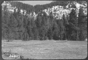 Fish Valley