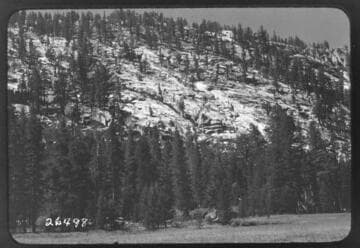 Fish Valley