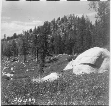 Big Creek general