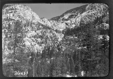 Fish Valley