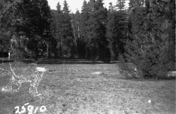 Big Creek General