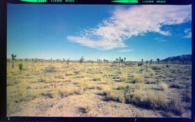 Go to image 1.