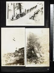 Go to image 11.