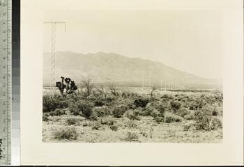 Go to image 62.