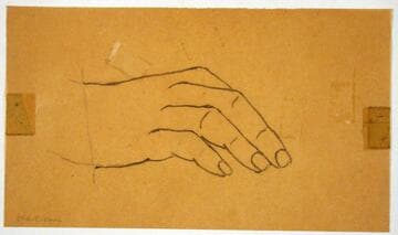 Hand Study