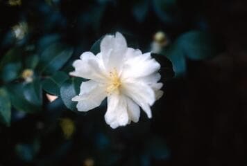 Go to image 2.