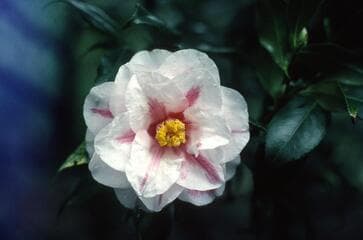 Go to image 4.