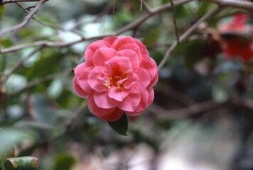 Go to image 3.