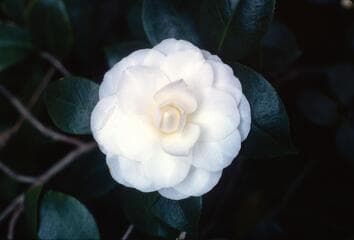 Go to image 3.