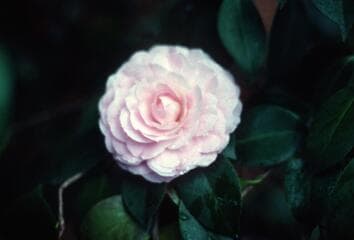 Go to image 4.