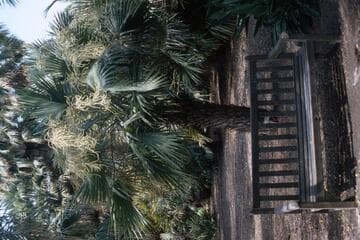 Go to image 3.