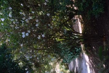 Go to image 5.