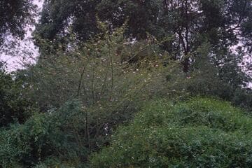 Go to image 13.