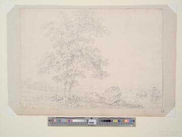 Trees by a Lake