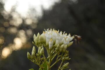 Go to image 12.