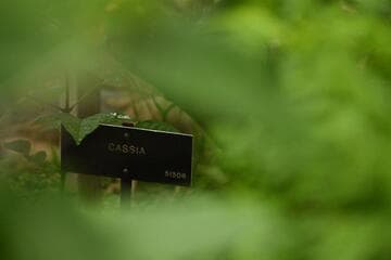 Go to image 7.