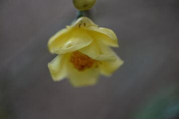Go to image 4.